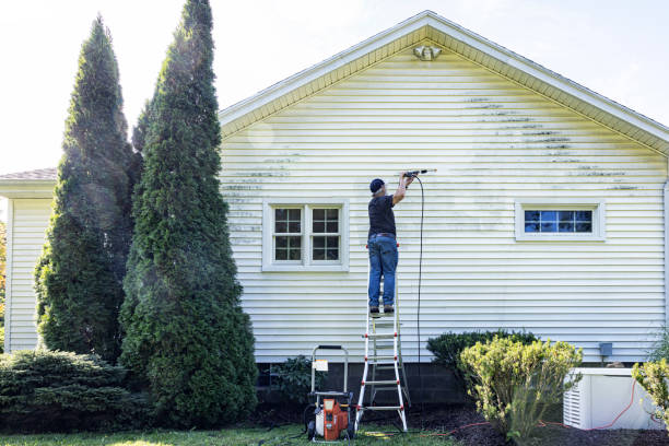 Best Soft Washing for Delicate Surfaces in Beechwood Trails, OH